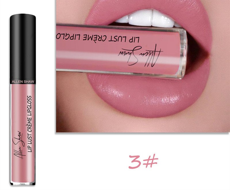Silky Cream Texture Lip Gloss Aliexpress Shopee Cross-Border Exclusive Lip Glaze Lip Gloss Lipstick - Image 4