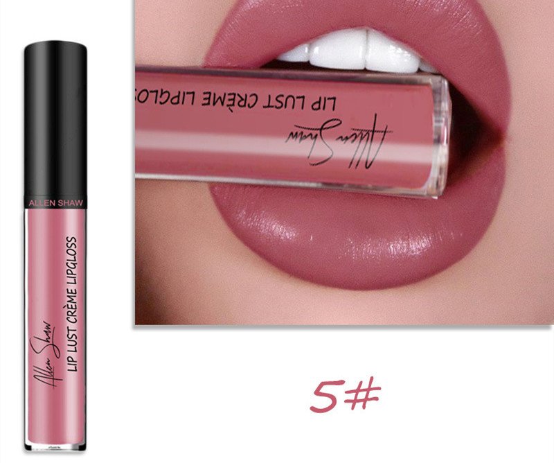Silky Cream Texture Lip Gloss Aliexpress Shopee Cross-Border Exclusive Lip Glaze Lip Gloss Lipstick - Image 3